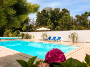 Edles Apartment in Architektenvilla mit großem Pool, Sauna, Dachterrasse und malerischem Garten